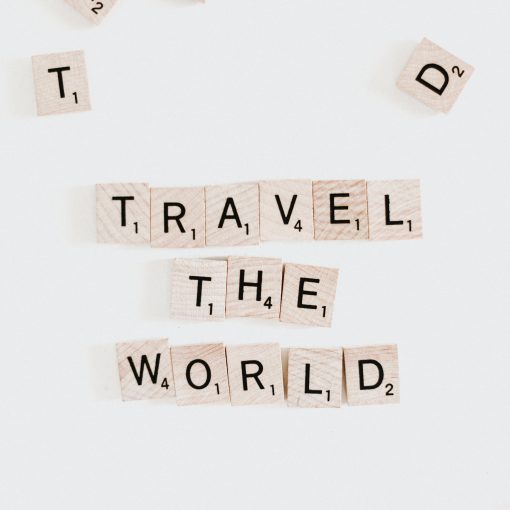 travel the world