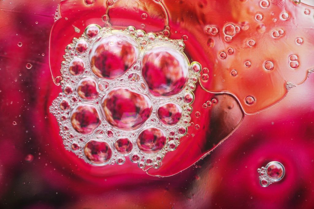 A close up of a red flower with water droplets